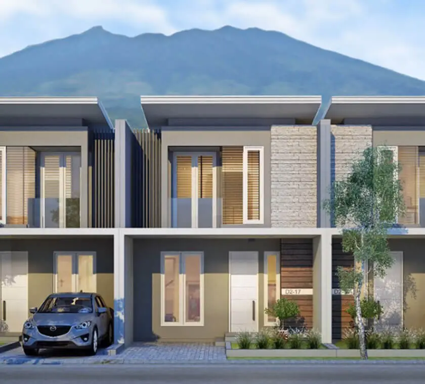 Cluster Caryota Cover