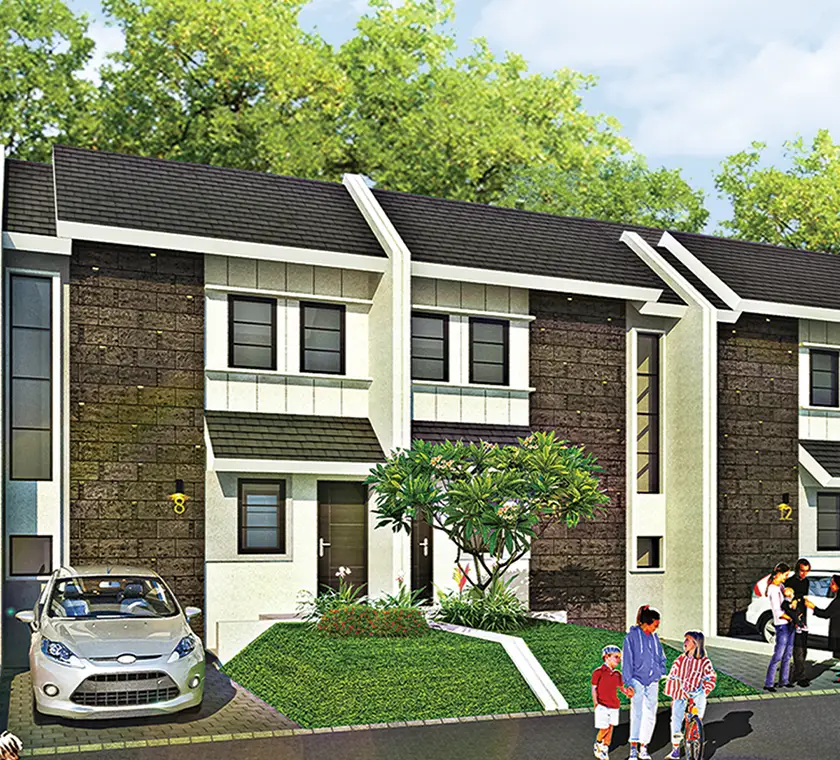 Cluster New Caryota 50 90